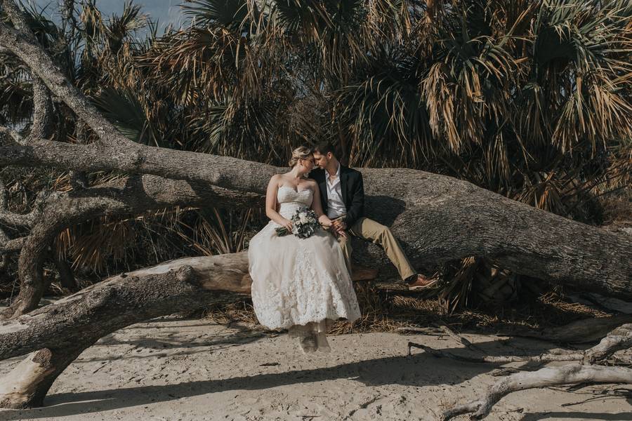 Amazing Beach Wedding and Engagement Photos
