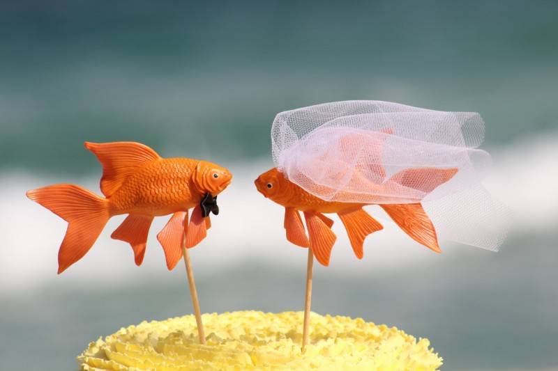 7 Clever Adorable and Hilarious Beach Wedding Cake Toppers