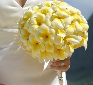 Plumeria Wedding Bouquet