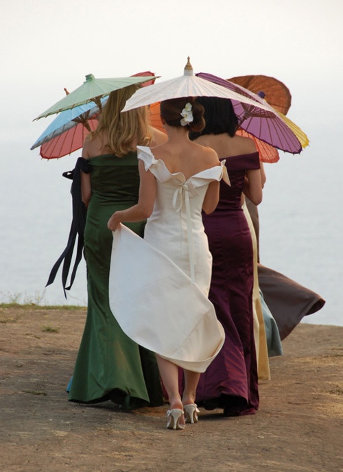 Wedding Parasol Photo