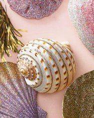 Glittered Seashells