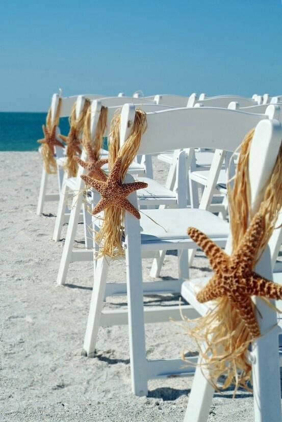 Starfish Chair Decor