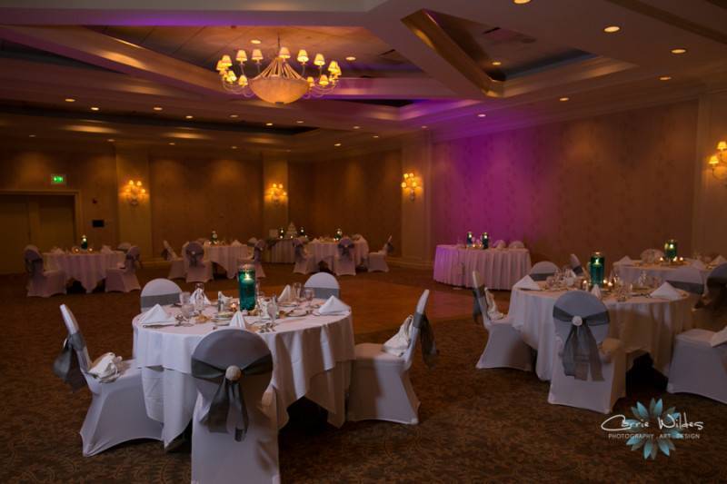 Kellerman_Martin_Carrie_Wildes_Photography_81814sheratonsandkeywedding33_low