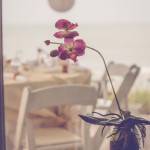 View More: http://darincroftonphotography.pass.us/eric–barbaras-vow-renewel-51113