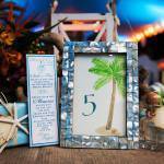 Reo_Petrone_Limelight_Photography_62614ChristyBobSM0791_low