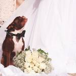 Alessandrini_Obadio_Liz_Cowie_Photography_Lizcowiephotographybeachwedding24_low