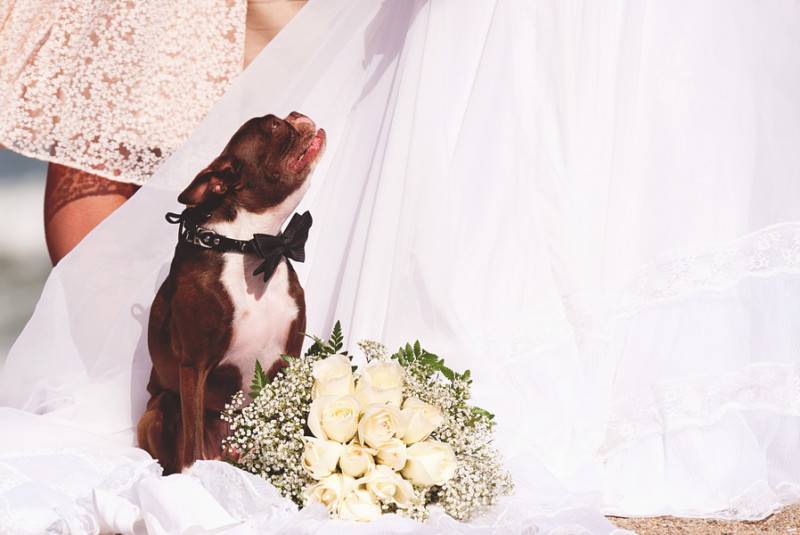 Alessandrini_Obadio_Liz_Cowie_Photography_Lizcowiephotographybeachwedding24_low