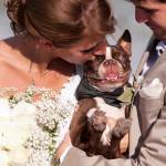 Alessandrini_Obadio_Liz_Cowie_Photography_Lizcowiephotographybeachwedding67_low