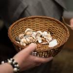 Seashells on the Sound
