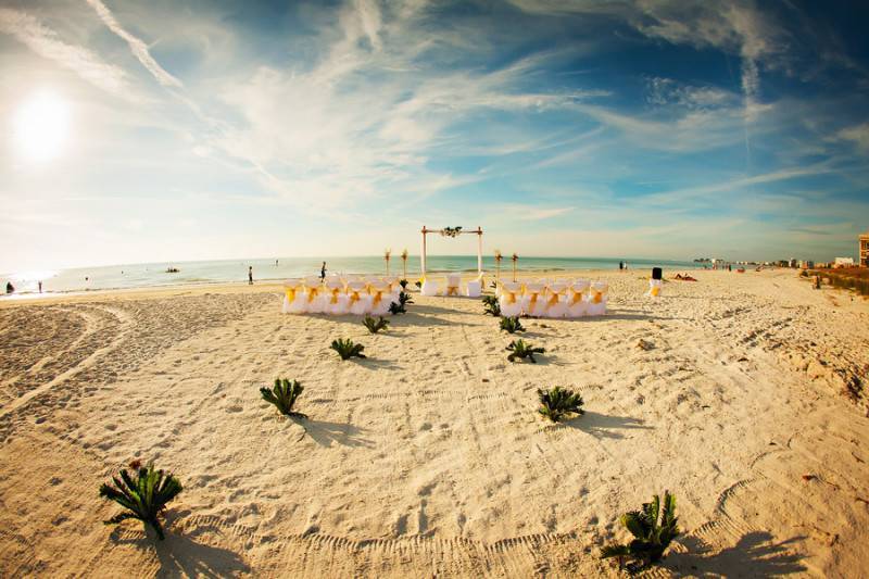 Sand in Their Toes, Love Everywhere