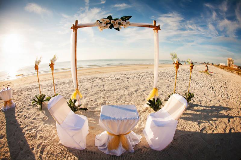 Sand in Their Toes, Love Everywhere