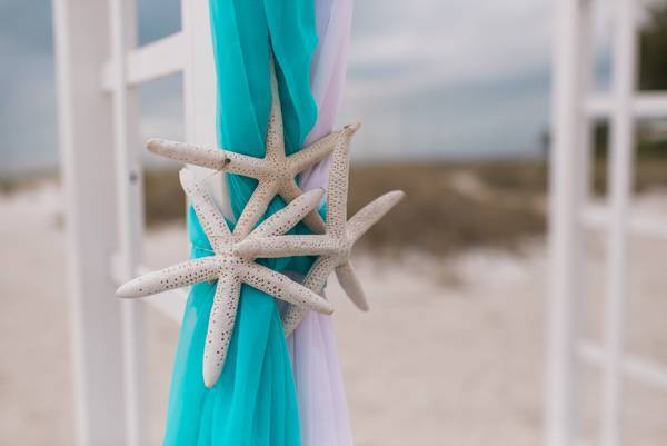 Sea Stars For You And Me