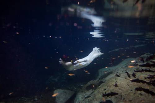 Magic Underwater (3)