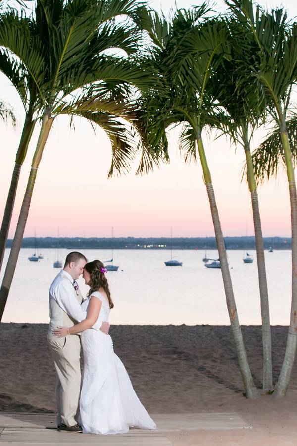 Palm Trees and Sunset