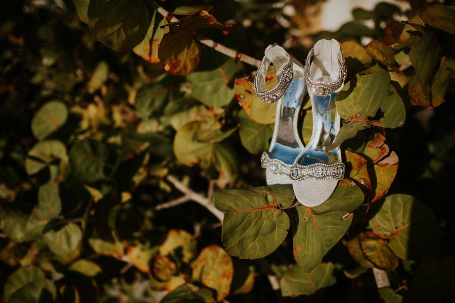 Coptic Clearwater Engagement