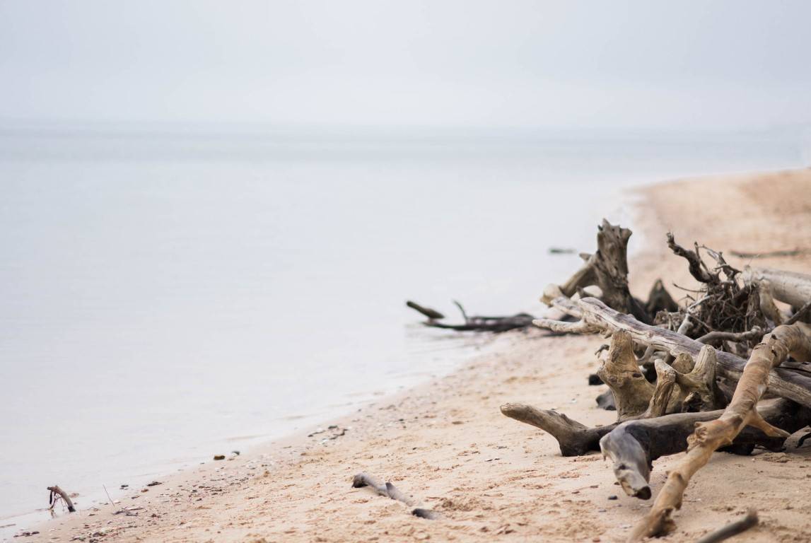 Styled Shoot | Chillin’ By The Calvert Cliff