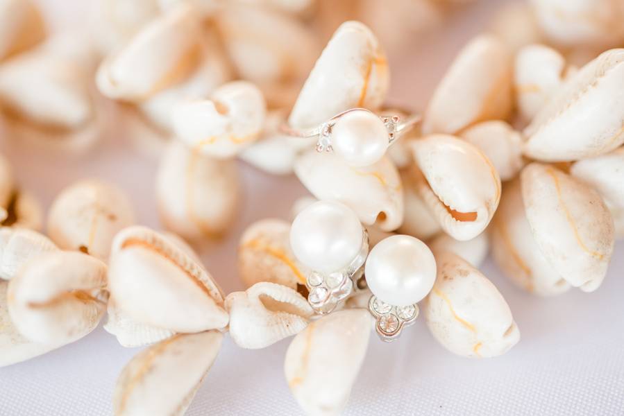 Seashells and Surf Boards