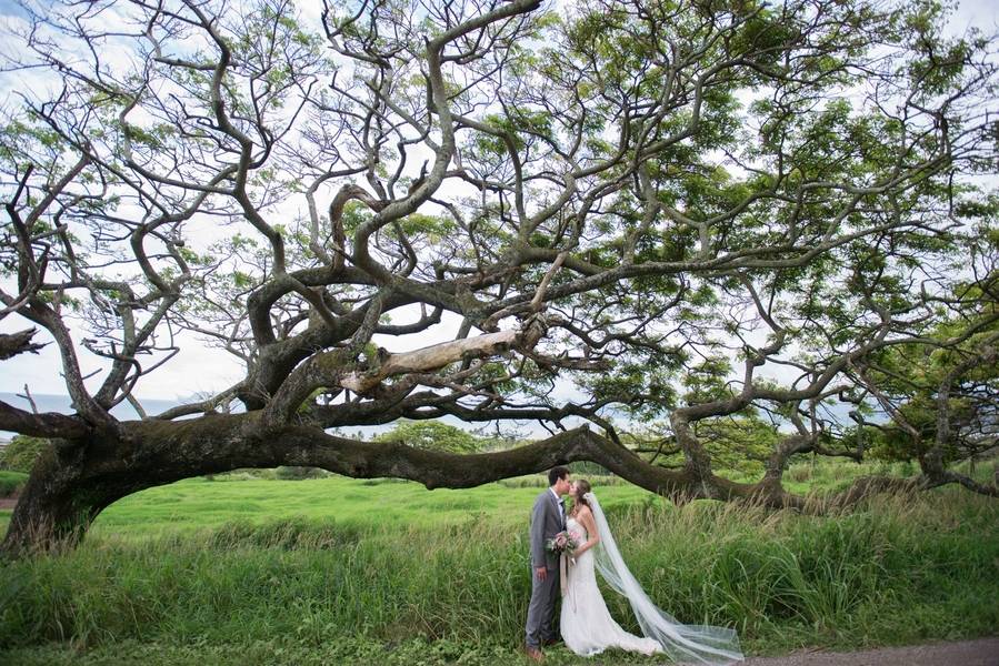 Lush Hawaiian Ranch Wedding