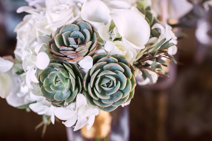 Chic Beach Wedding in Costa Rica