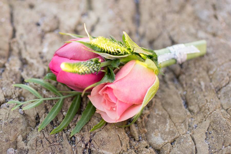 Beach Boho Wedding