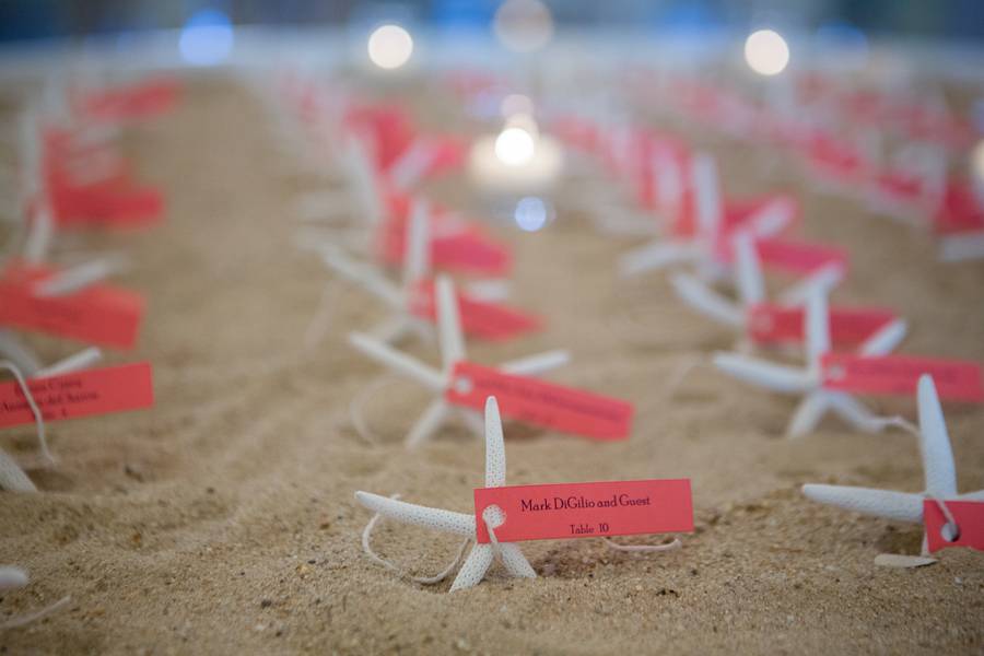 Pink and Navy Nautical Beach Wedding