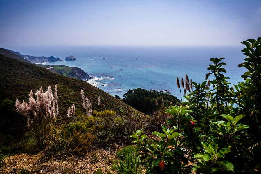 Alice in Wonderland Themed Destination Wedding in Big Sur