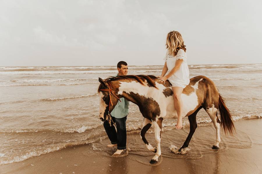 Beyond Waves and Sand Engagement Session