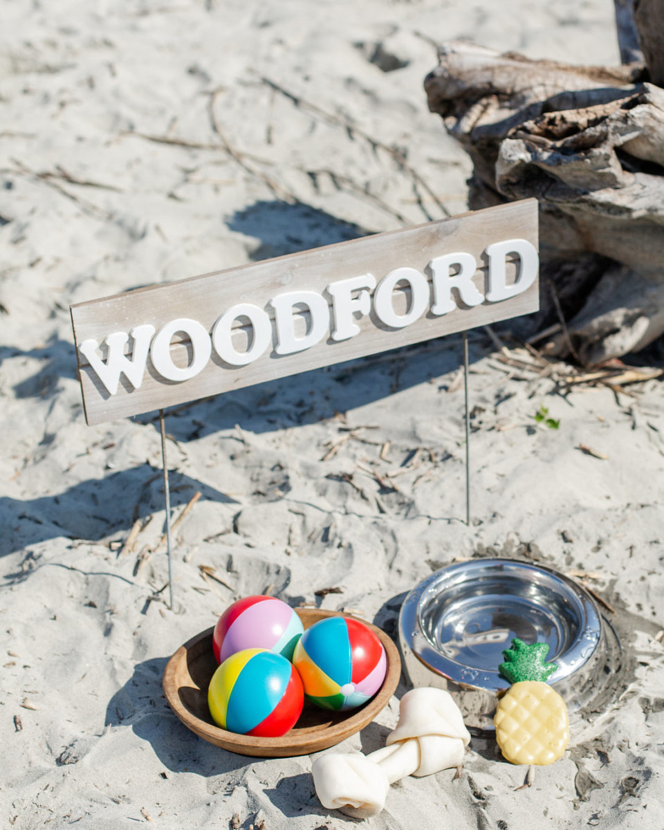 Island Picnic Proposal