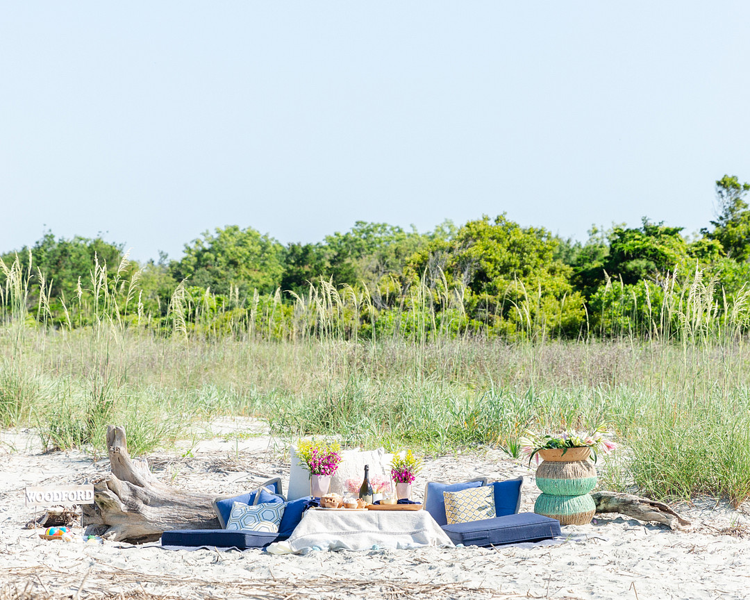 Island Picnic Proposal