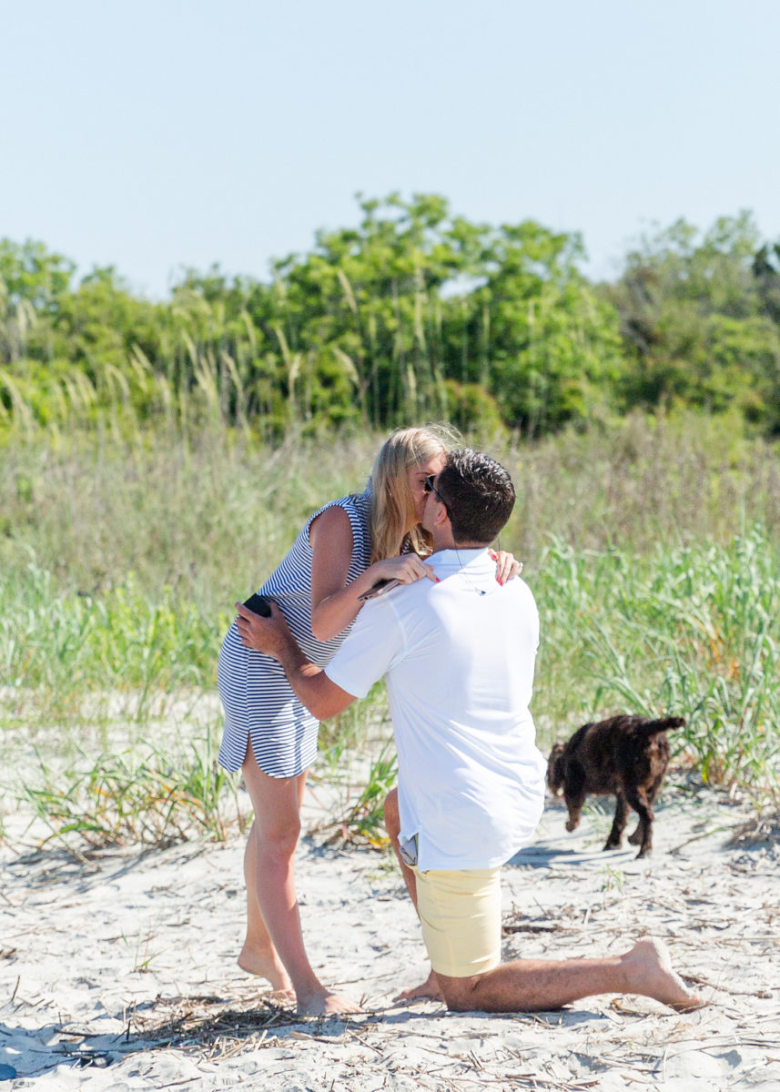 Island Picnic Proposal