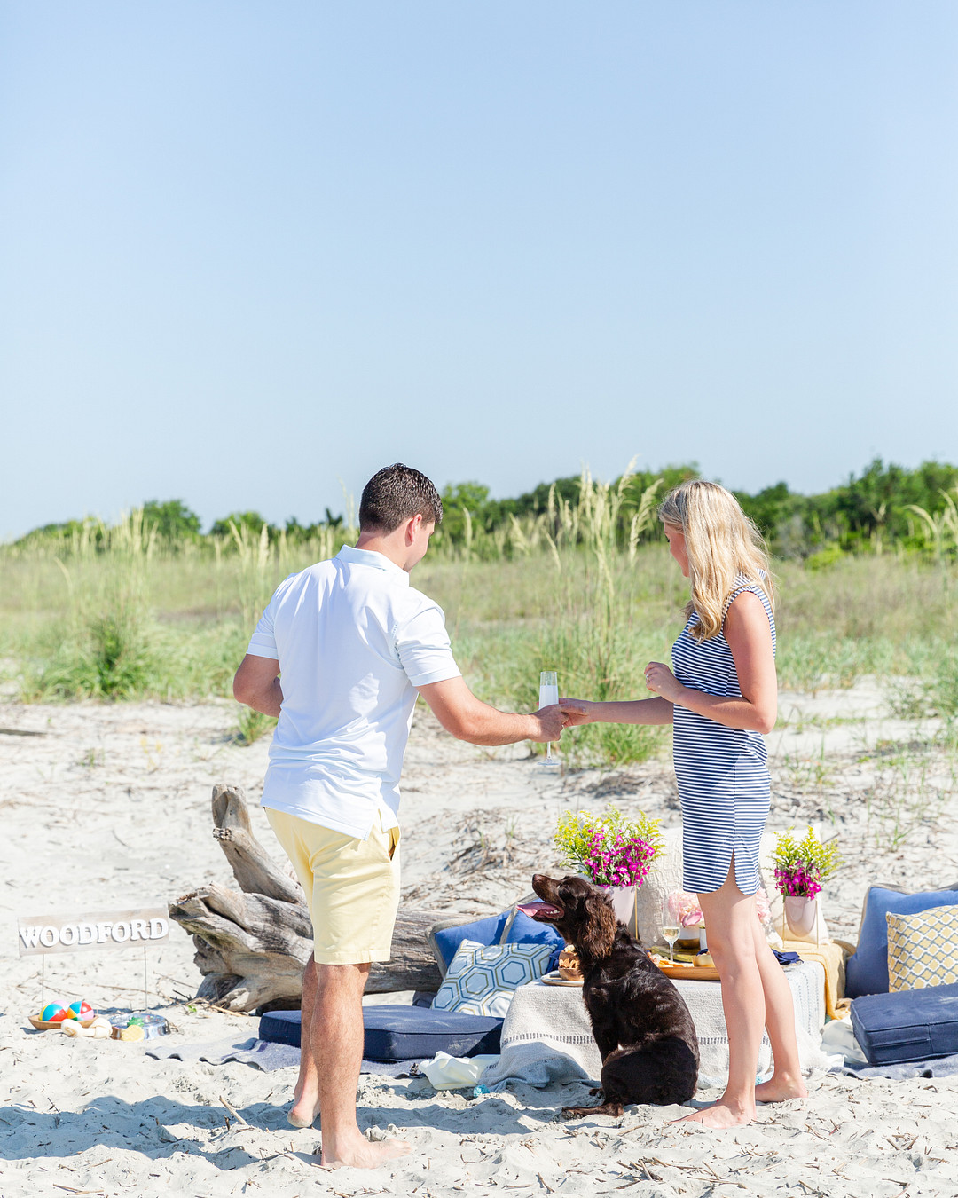 Island Picnic Proposal