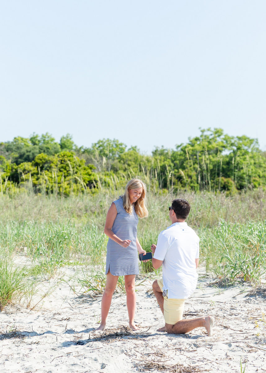 Island Picnic Proposal