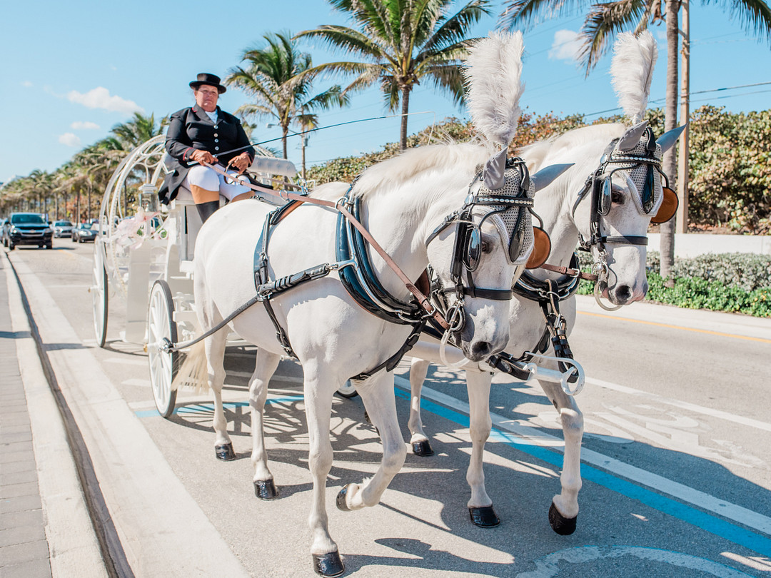 Leap Day Beach Wedding in Fort Lauderdale