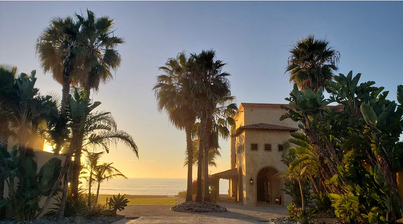 Luxurious Oceanfront Wedding