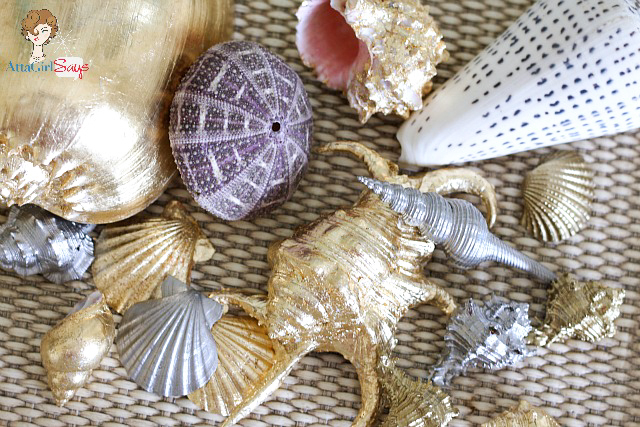 DIY Gorgeous Gilded Seashell Decorations With Chrome Paint